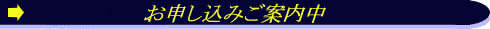 ���E